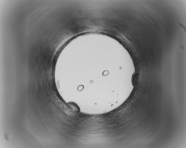 X0000098141216200805151131