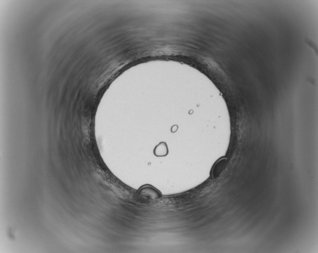 X0000098141217200805151131