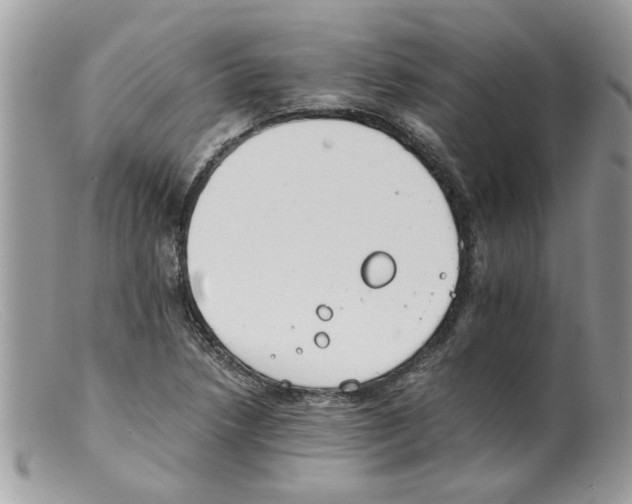 X0000098141218200805151131