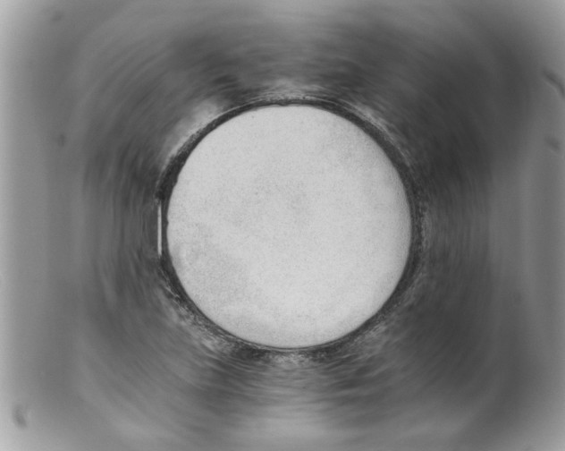 X0000098141219200805151131