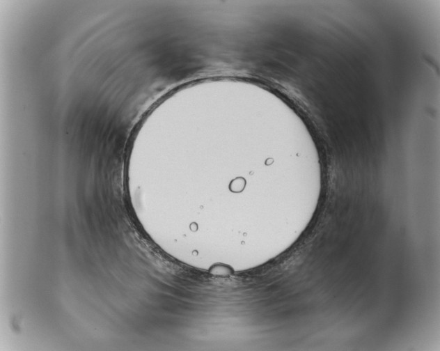 X0000098141220200805151132