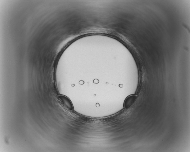 X0000098141222200805151132