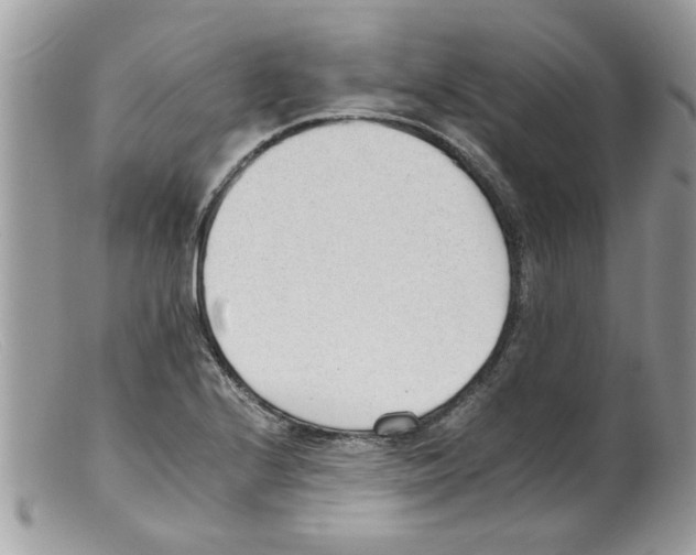 X0000098141224200805151132