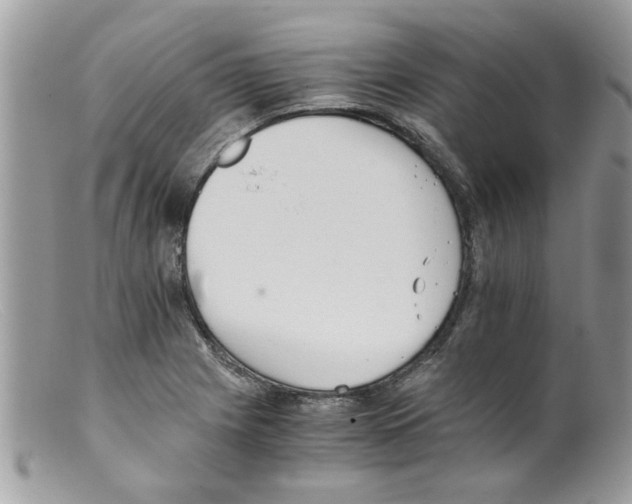 X0000098141225200805151132