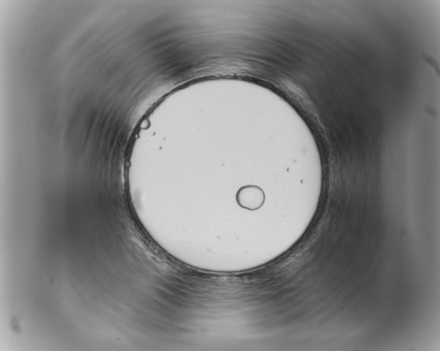 X0000098141226200805151132