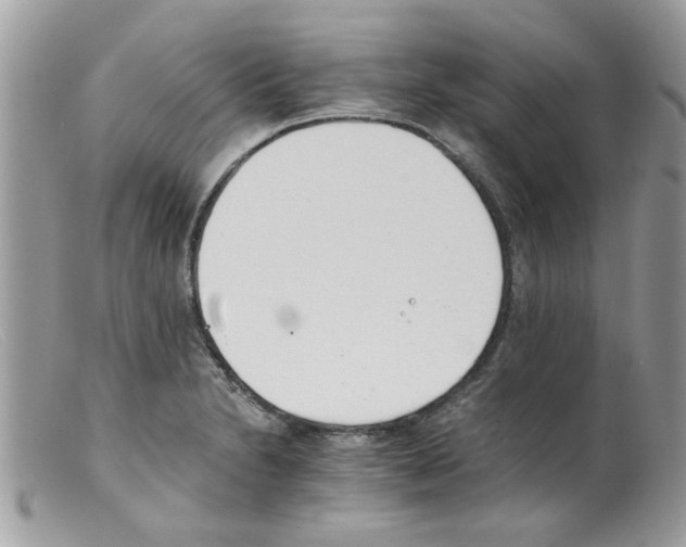 X0000098141230200805151132