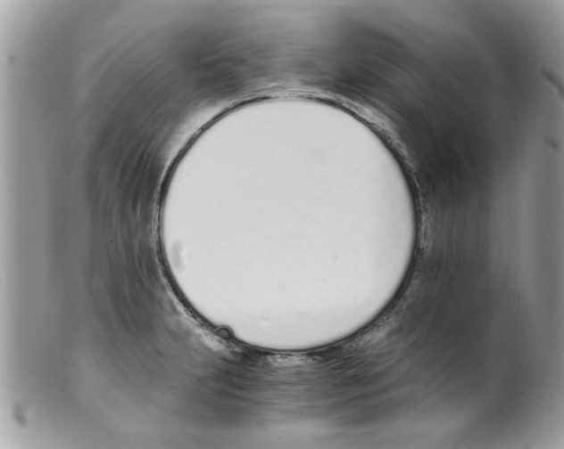 X0000098141231200805151132