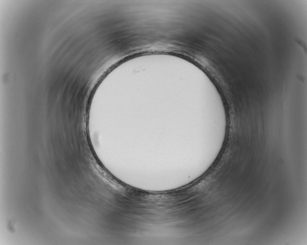 X0000098141232200805151132