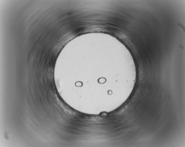 X0000098141233200805151132