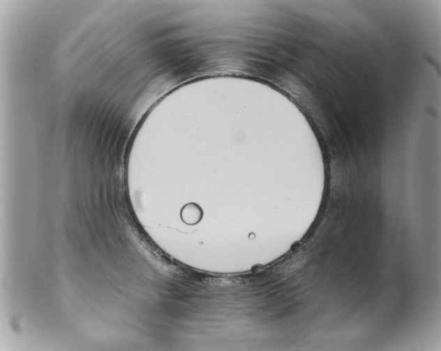 X0000098141234200805151132