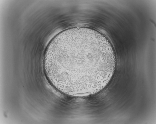 X0000098141235200805151132