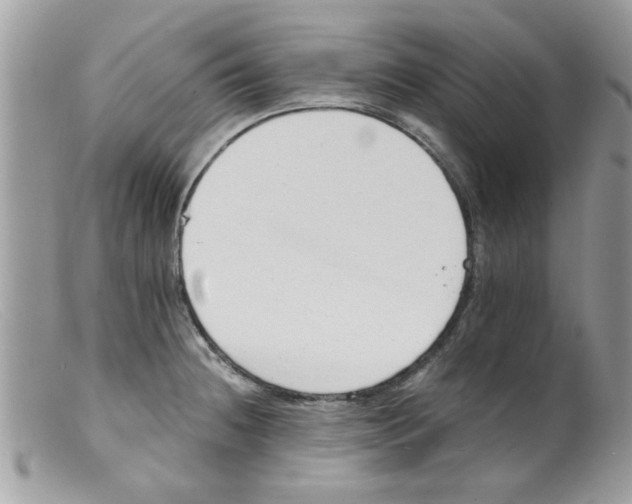 X0000098141236200805151132