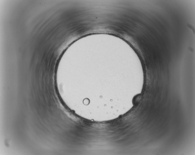 X0000098141237200805151132