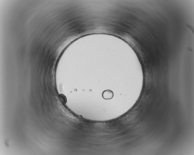 X0000098141238200805151132