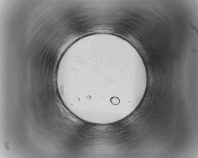 X0000098141240200805151132