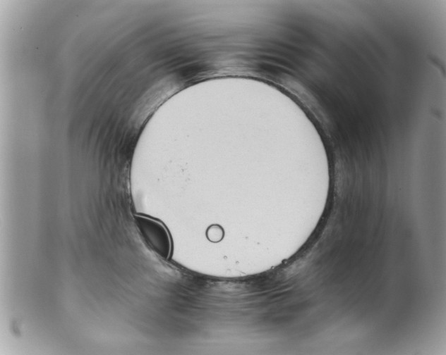 X0000098141241200805151132