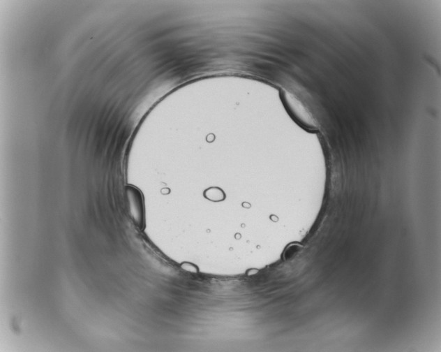 X0000098141242200805151132