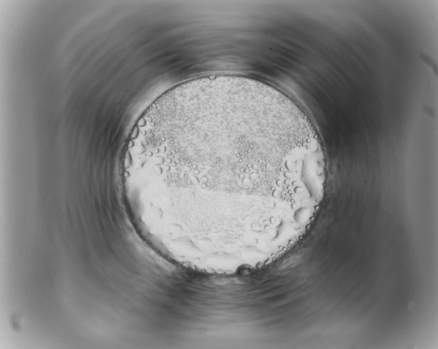 X0000098141243200805151132