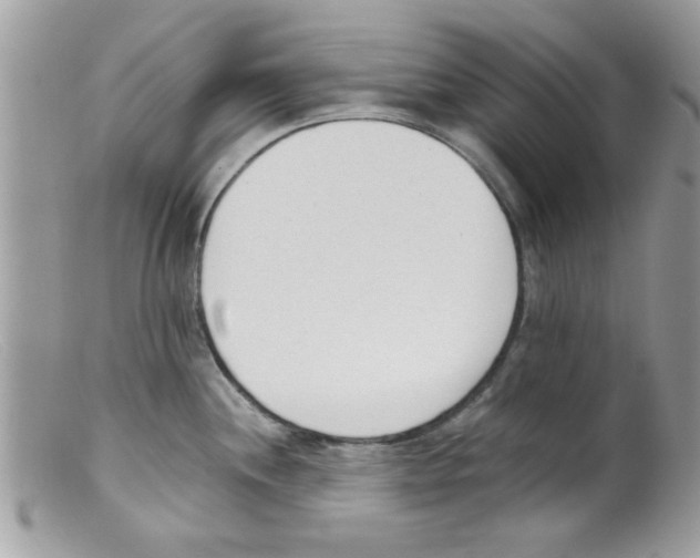 X0000098141244200805151132