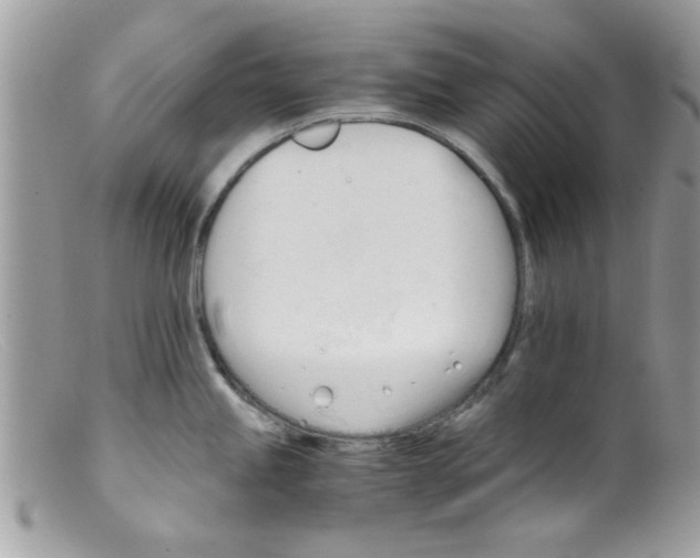 X0000098141245200805151132