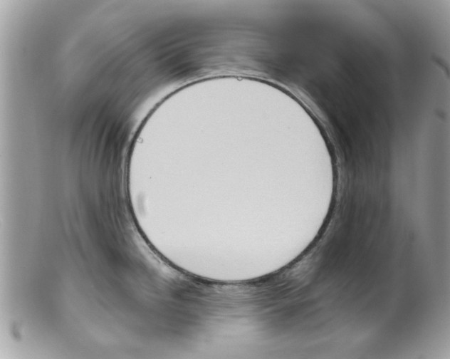 X0000098141246200805151132