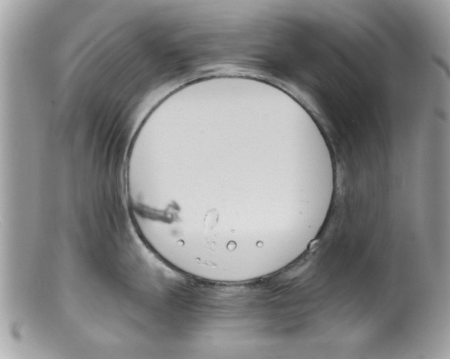 X0000098141247200805151132