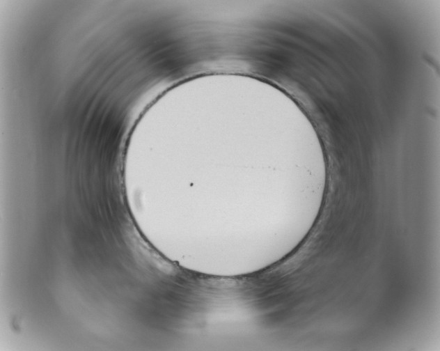 X0000098141248200805151132