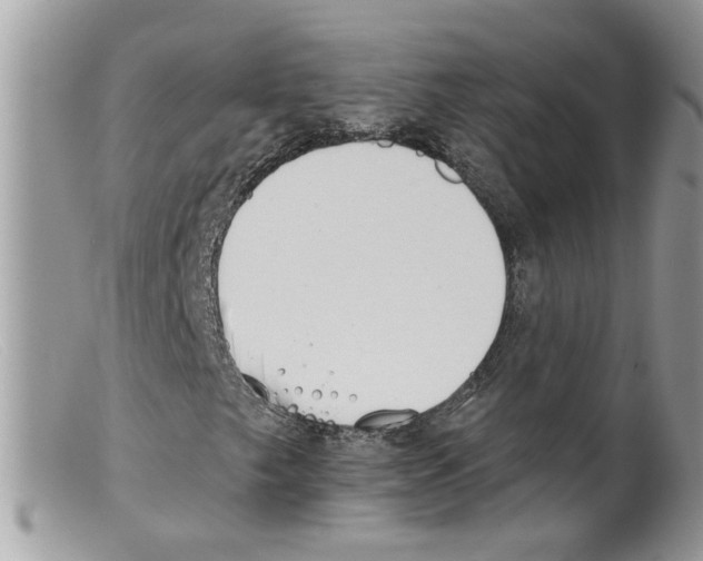 X0000098141249200805151131