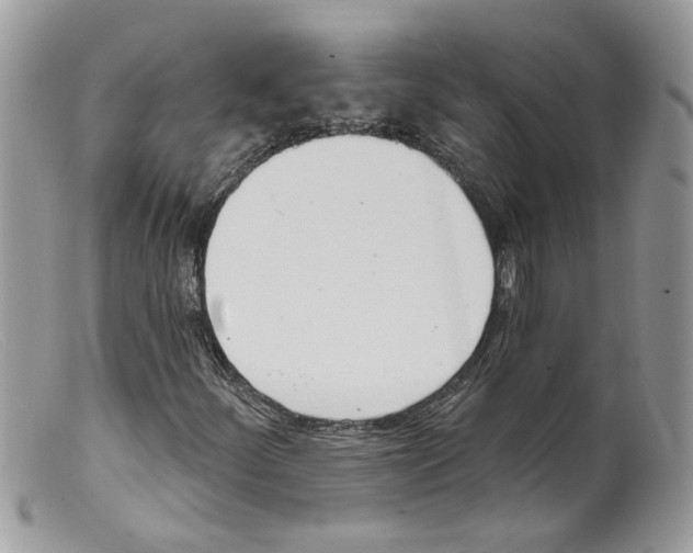 X0000098141252200805151131