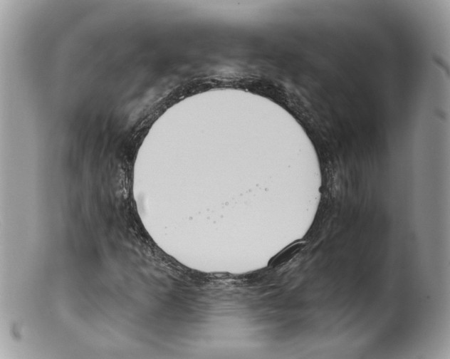 X0000098141253200805151131