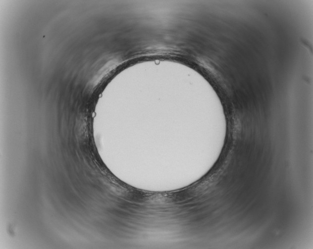 X0000098141259200805151131