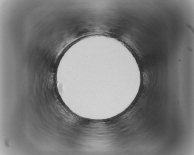 X0000098141260200805151131