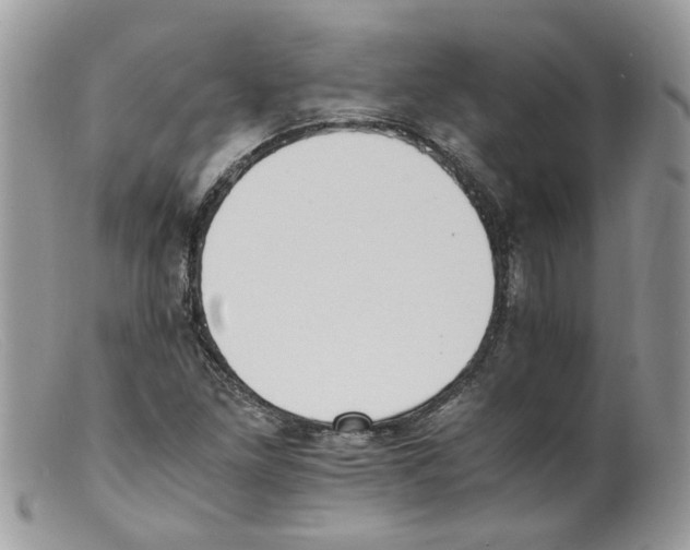 X0000098141261200805151131