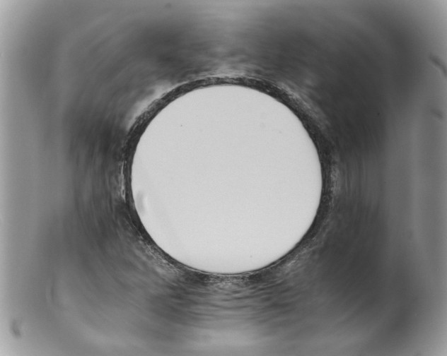 X0000098141262200805151131