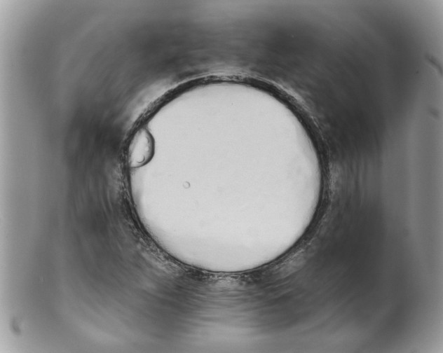 X0000098141263200805151131