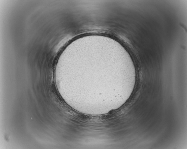 X0000098141267200805151131