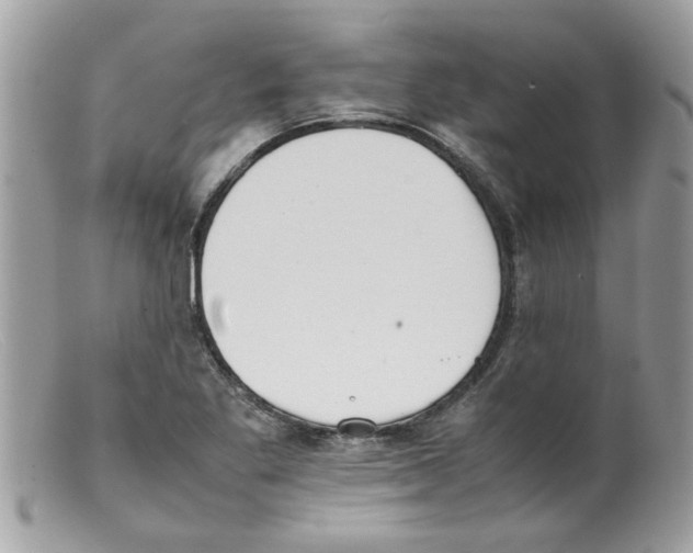 X0000098141269200805151131