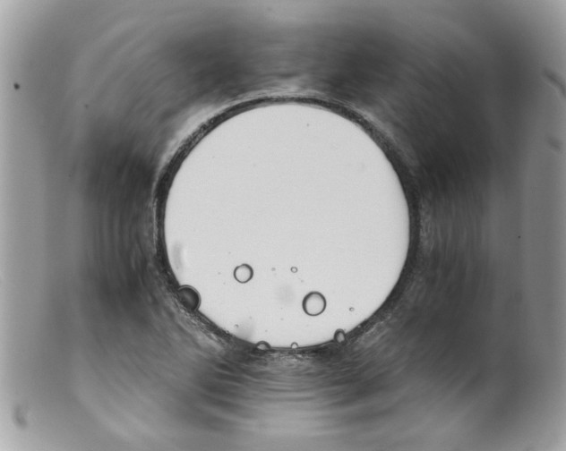 X0000098141270200805151131