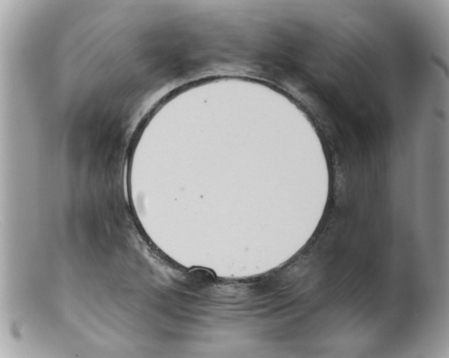 X0000098141272200805151131