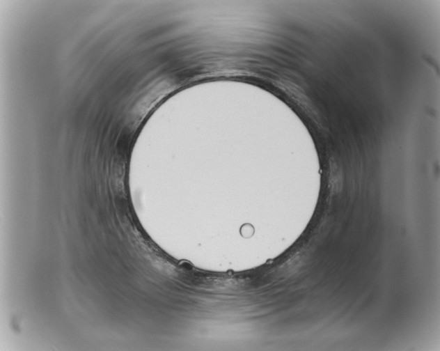 X0000098141273200805151131