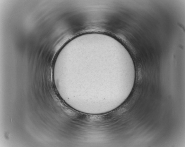 X0000098141274200805151131