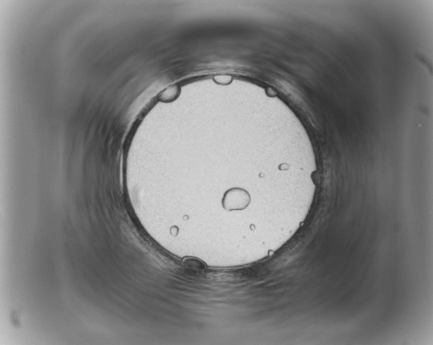 X0000098141275200805151131