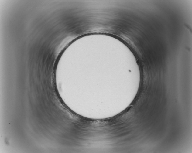 X0000098141277200805151131