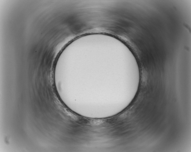 X0000098141278200805151131