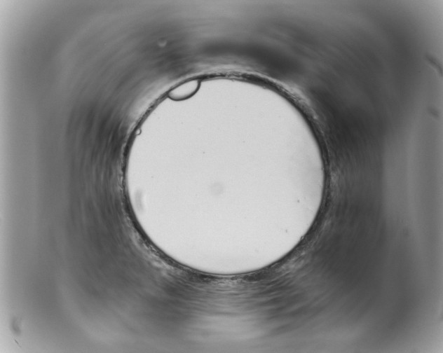 X0000098141279200805151131