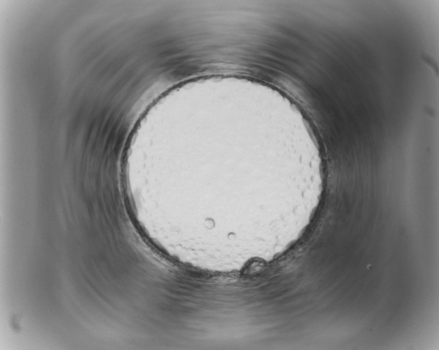 X0000098141283200805151131