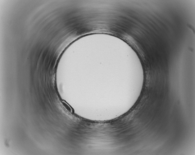 X0000098141284200805151131