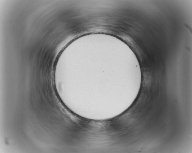 X0000098141286200805151131