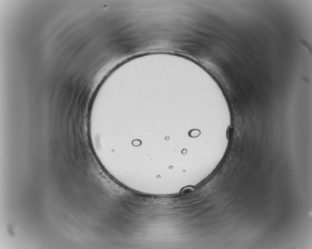 X0000098141288200805151131