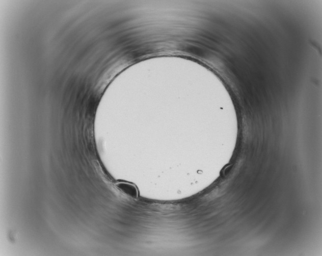 X0000098141289200805151130